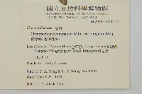 變葉藜、毛綠珠藜藏品圖，第2張