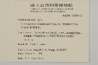 變葉藜、毛綠珠藜藏品圖，第4張