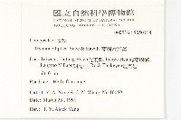 蘭嶼木耳菜藏品圖，第2張