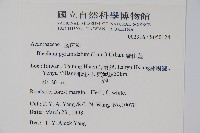 賽山藍藏品圖，第2張