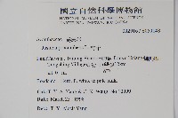 爵床藏品圖，第2張