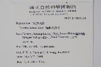 蘭嶼秋海棠藏品圖，第2張