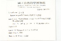 小燈籠草、大還魂藏品圖，第2張