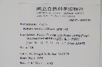 臺灣小蘗藏品圖，第2張