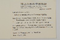 阿里山繁縷藏品圖，第2張