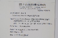 高山小蘗藏品圖，第2張