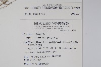 裂葉秋海棠藏品圖，第2張