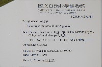 盾果草藏品圖，第2張