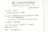 獨行菜藏品圖，第2張