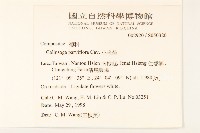 小米菊藏品圖，第2張