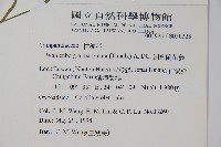 細葉蘭花參藏品圖，第2張