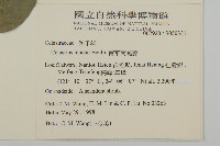 南華南蛇藤，青江藤藏品圖，第1張