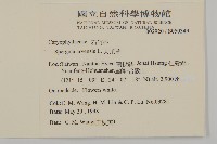 大爪草藏品圖，第2張