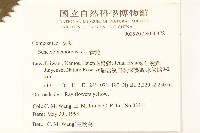 黃菀藏品圖，第2張