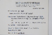 紫花鳳仙花藏品圖，第2張