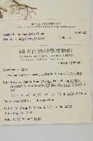 玉山抱莖籟簫藏品圖，第2張