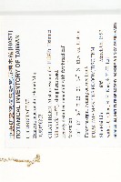 黑果馬交兒藏品圖，第2張