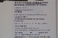 珊瑚樹藏品圖，第2張