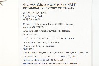 亨利氏伊立基藤藏品圖，第2張