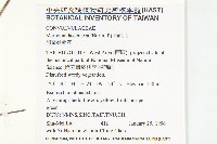 卵葉菜欒藤藏品圖，第2張