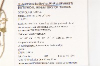 白花牽牛藏品圖，第2張