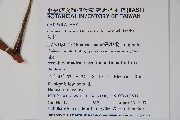 魚木藏品圖，第2張