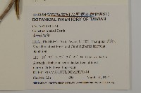 南華南蛇藤，青江藤藏品圖，第2張