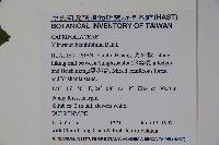 樺葉莢迷、玉山莢迷藏品圖，第2張