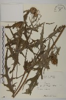 登錄號:S050527藏品圖，第1張