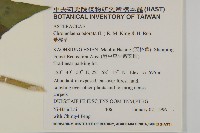 香澤蘭、飛機草藏品圖，第2張