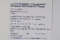 六角英, 槍刀菜藏品圖，第2張