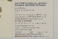 北仲, 刺裸實藏品圖，第2張