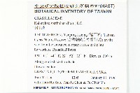 倒吊蓮、匙葉燈籠草藏品圖，第2張