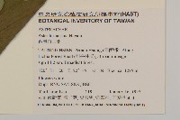 臺灣山白蘭藏品圖，第2張