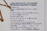 水鴨腳藏品圖，第2張