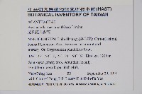 尼氏擬馬偕花藏品圖，第2張