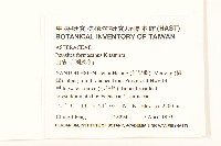 臺灣款冬藏品圖，第2張