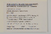 阿里山繁縷藏品圖，第2張