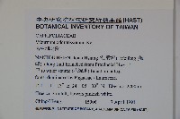 珊瑚樹藏品圖，第2張