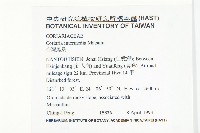 臺灣馬桑藏品圖，第2張