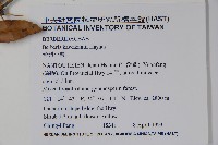 臺灣小蘗藏品圖，第2張