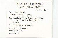 土丁桂藏品圖，第2張