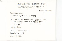 茵蔯蒿藏品圖，第2張