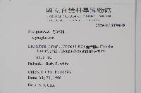 登錄號:S050648藏品圖，第2張