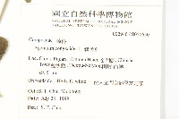 霍香薊藏品圖，第2張