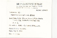 銀膠菊藏品圖，第2張