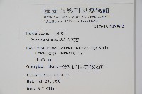 向天黃藏品圖，第2張