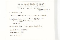 加拿大蓬藏品圖，第2張