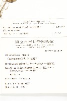 平原菟絲子藏品圖，第2張