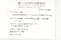 蒼耳藏品圖，第2張